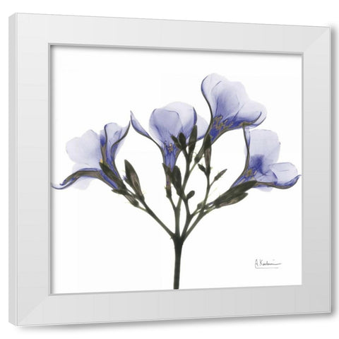 Crocuss in Purple White Modern Wood Framed Art Print by Koetsier, Albert