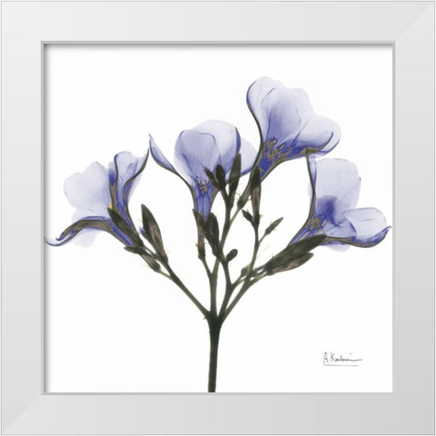 Crocuss in Purple White Modern Wood Framed Art Print by Koetsier, Albert