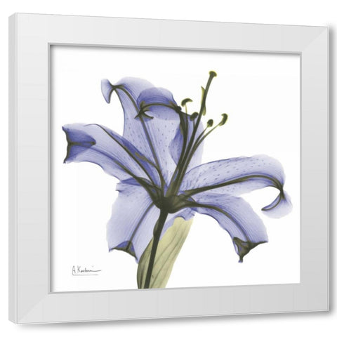 Lily in  Purple White Modern Wood Framed Art Print by Koetsier, Albert