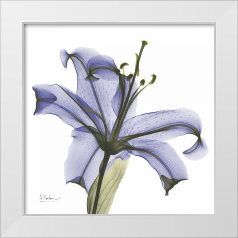 Lily in  Purple White Modern Wood Framed Art Print by Koetsier, Albert