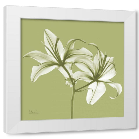 Twin Lilies on Pale Green White Modern Wood Framed Art Print by Koetsier, Albert