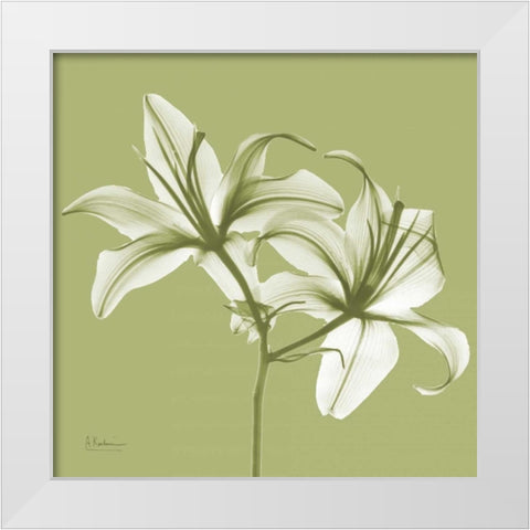 Twin Lilies on Pale Green White Modern Wood Framed Art Print by Koetsier, Albert