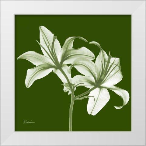 Twin Lilies on Green White Modern Wood Framed Art Print by Koetsier, Albert