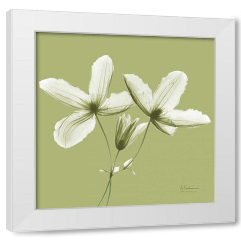 Twin Buds on Pale Green White Modern Wood Framed Art Print by Koetsier, Albert