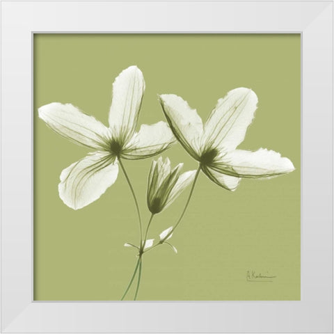Twin Buds on Pale Green White Modern Wood Framed Art Print by Koetsier, Albert