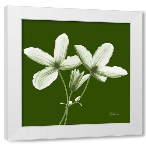 Twin Buds on Green White Modern Wood Framed Art Print by Koetsier, Albert