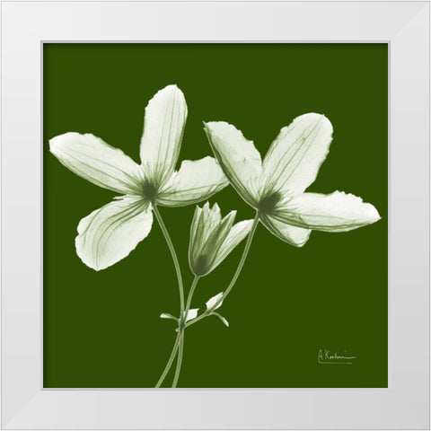 Twin Buds on Green White Modern Wood Framed Art Print by Koetsier, Albert
