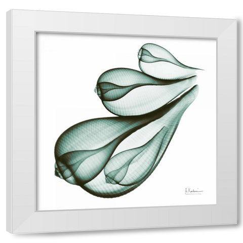 Sea Shells in Green White Modern Wood Framed Art Print by Koetsier, Albert