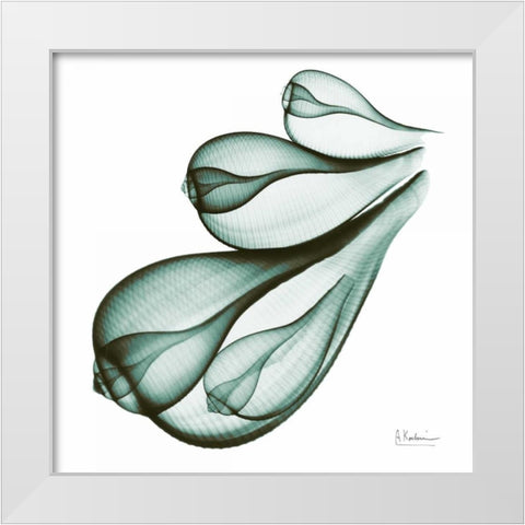 Sea Shells in Green White Modern Wood Framed Art Print by Koetsier, Albert