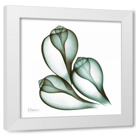 Sea Shells in Green 2 White Modern Wood Framed Art Print by Koetsier, Albert