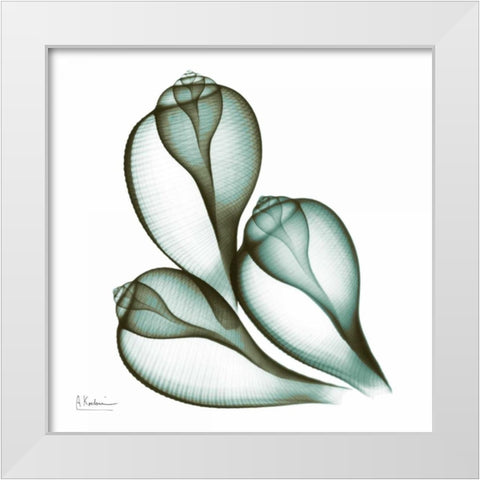 Sea Shells in Green 2 White Modern Wood Framed Art Print by Koetsier, Albert