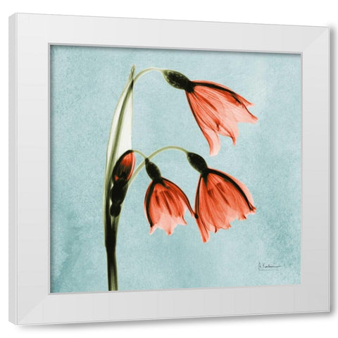 Snow Drop Faith_MAT White Modern Wood Framed Art Print by Koetsier, Albert