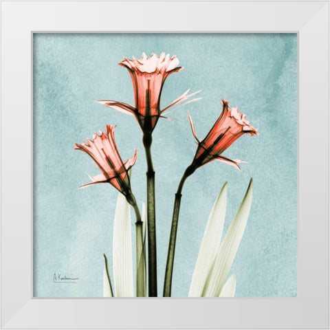 Daffodil Believe White Modern Wood Framed Art Print by Koetsier, Albert