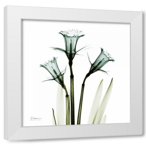 Three Daffodils in Green White Modern Wood Framed Art Print by Koetsier, Albert