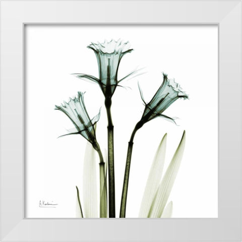 Three Daffodils in Green White Modern Wood Framed Art Print by Koetsier, Albert