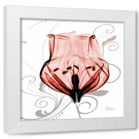 Dancing Tulip in Red White Modern Wood Framed Art Print by Koetsier, Albert