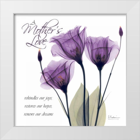 Mothers - Purple Tulips White Modern Wood Framed Art Print by Koetsier, Albert