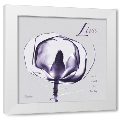 Plum Magnolia Live White Modern Wood Framed Art Print by Koetsier, Albert