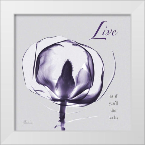 Plum Magnolia Live White Modern Wood Framed Art Print by Koetsier, Albert