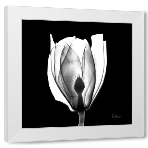 Beautiful Bulb on Black White Modern Wood Framed Art Print by Koetsier, Albert