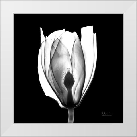 Beautiful Bulb on Black White Modern Wood Framed Art Print by Koetsier, Albert