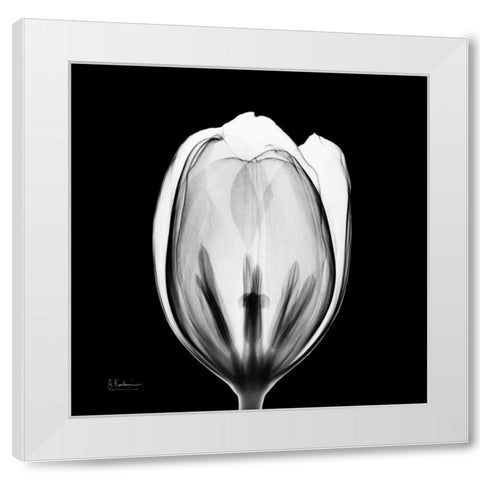 Beautiful Bulb on Black 2 White Modern Wood Framed Art Print by Koetsier, Albert