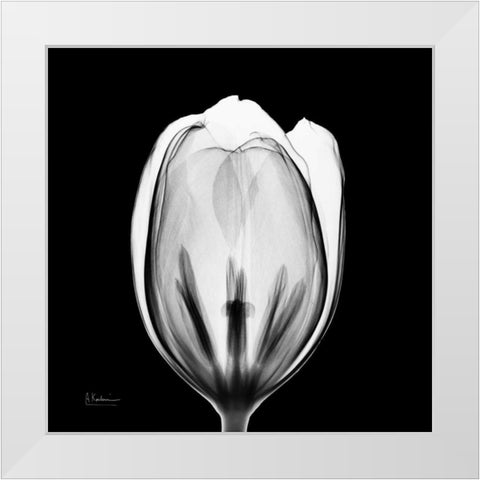 Beautiful Bulb on Black 2 White Modern Wood Framed Art Print by Koetsier, Albert