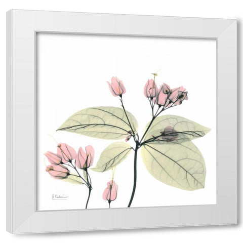 Pretty Pink Blooms 2 White Modern Wood Framed Art Print by Koetsier, Albert