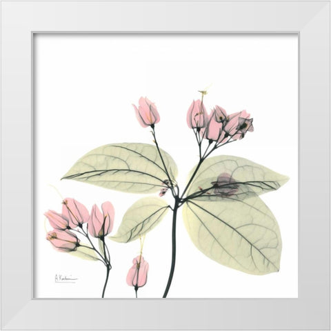 Pretty Pink Blooms 2 White Modern Wood Framed Art Print by Koetsier, Albert