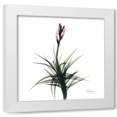 Briannas Bud White Modern Wood Framed Art Print by Koetsier, Albert