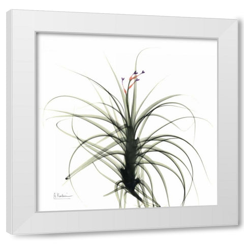 Biancas Bud White Modern Wood Framed Art Print by Koetsier, Albert