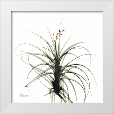 Biancas Bud White Modern Wood Framed Art Print by Koetsier, Albert