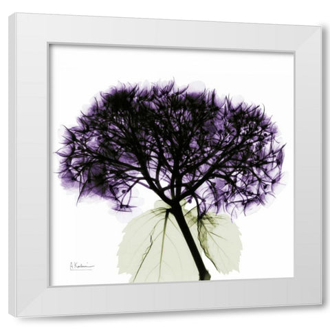 Purple Hydrangea Close up White Modern Wood Framed Art Print by Koetsier, Albert