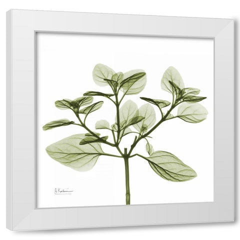 Green Leaves in Bloom 2 White Modern Wood Framed Art Print by Koetsier, Albert