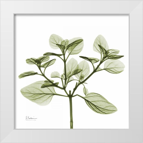 Green Leaves in Bloom 2 White Modern Wood Framed Art Print by Koetsier, Albert