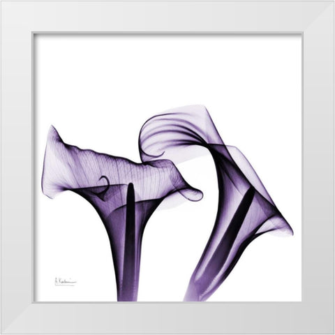 Violet Calla Twins White Modern Wood Framed Art Print by Koetsier, Albert