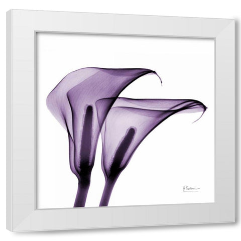 Violet Calla Twins 2 White Modern Wood Framed Art Print by Koetsier, Albert