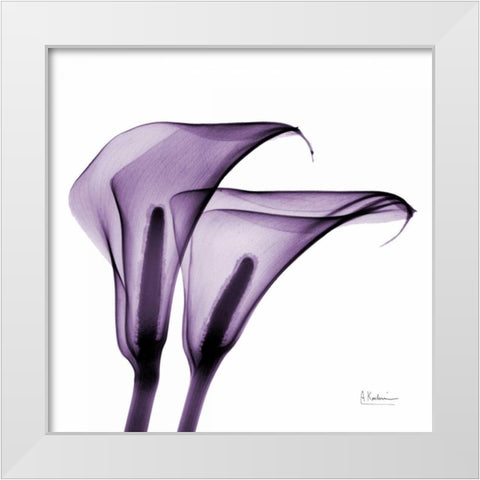 Violet Calla Twins 2 White Modern Wood Framed Art Print by Koetsier, Albert