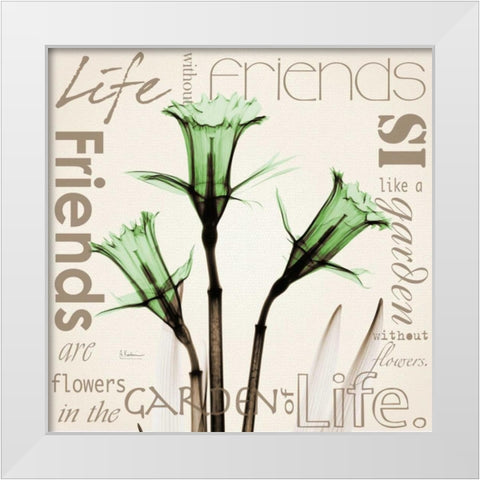 Daffodil Life White Modern Wood Framed Art Print by Koetsier, Albert