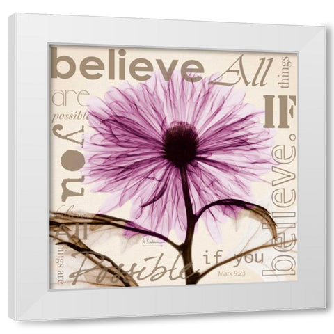 Chrysanthemum Believe White Modern Wood Framed Art Print by Koetsier, Albert