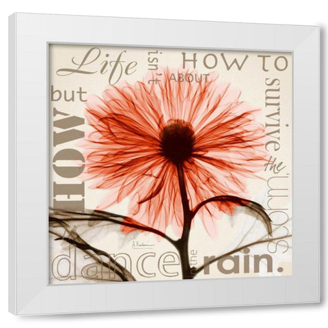 Chrysanthemum Life White Modern Wood Framed Art Print by Koetsier, Albert