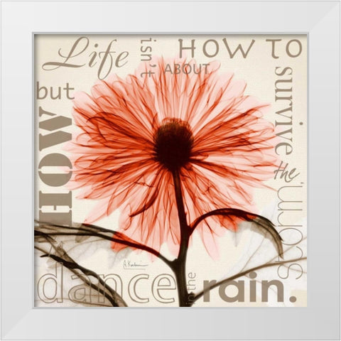 Chrysanthemum Life White Modern Wood Framed Art Print by Koetsier, Albert