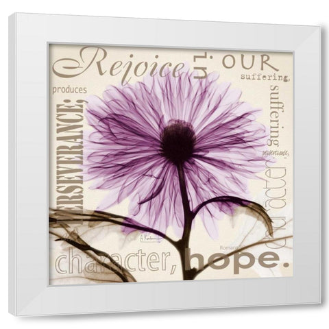 Rejoice - Violet Chrysanthemum White Modern Wood Framed Art Print by Koetsier, Albert