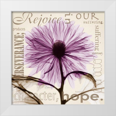 Rejoice - Violet Chrysanthemum White Modern Wood Framed Art Print by Koetsier, Albert