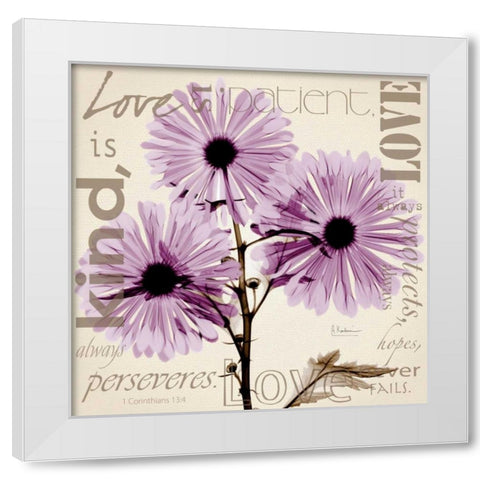 Love - Violet Chrysanthemum White Modern Wood Framed Art Print by Koetsier, Albert