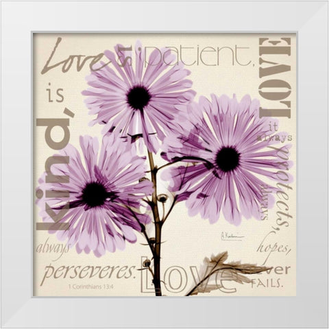 Love - Violet Chrysanthemum White Modern Wood Framed Art Print by Koetsier, Albert