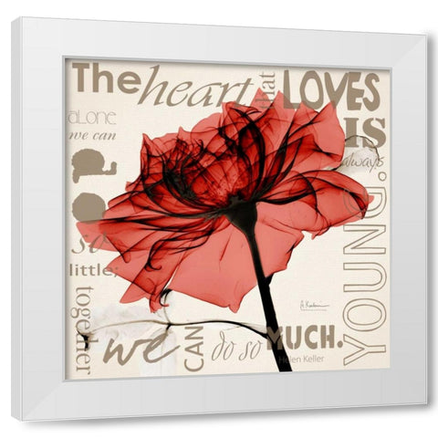 Red Rose Love White Modern Wood Framed Art Print by Koetsier, Albert