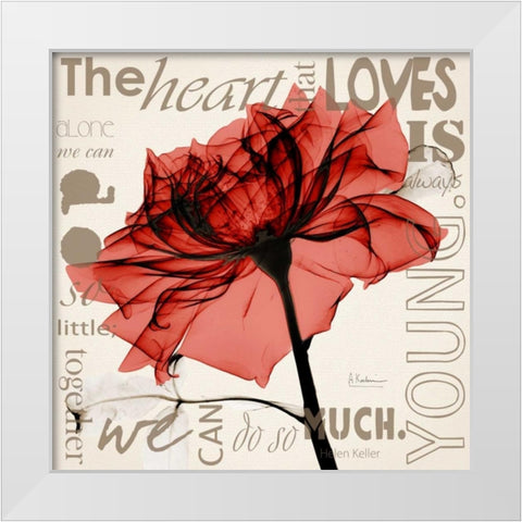 Red Rose Love White Modern Wood Framed Art Print by Koetsier, Albert