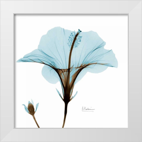 Hibiscus Wave White Modern Wood Framed Art Print by Koetsier, Albert