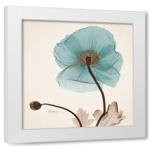 Iceland Poppy Believe White Modern Wood Framed Art Print by Koetsier, Albert